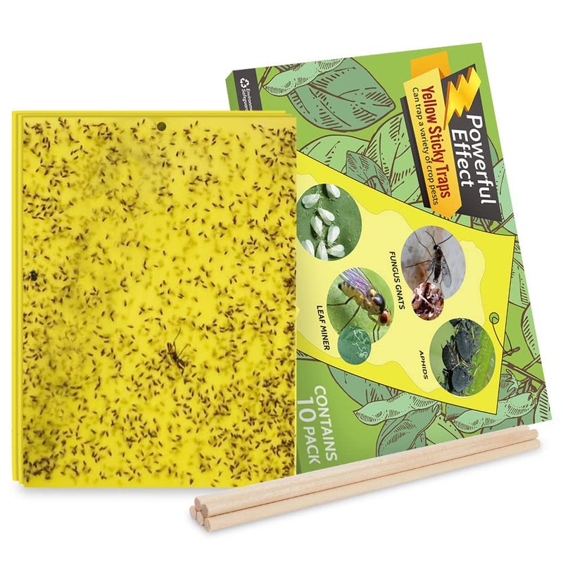 Kensizer 10-Pack Fruit Fly Trap, Yellow Sticky Gnat Trap Killer for Indoor/Outdoor Flying Plant Insect Like Fungus Gnat, Whiteflies, Aphids, Leaf Miners - 6x8 in, Twist Ties Included - Image 1